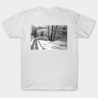 Ice Storm T-Shirt